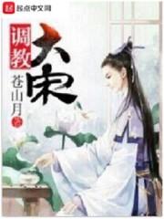 调教大宋封面